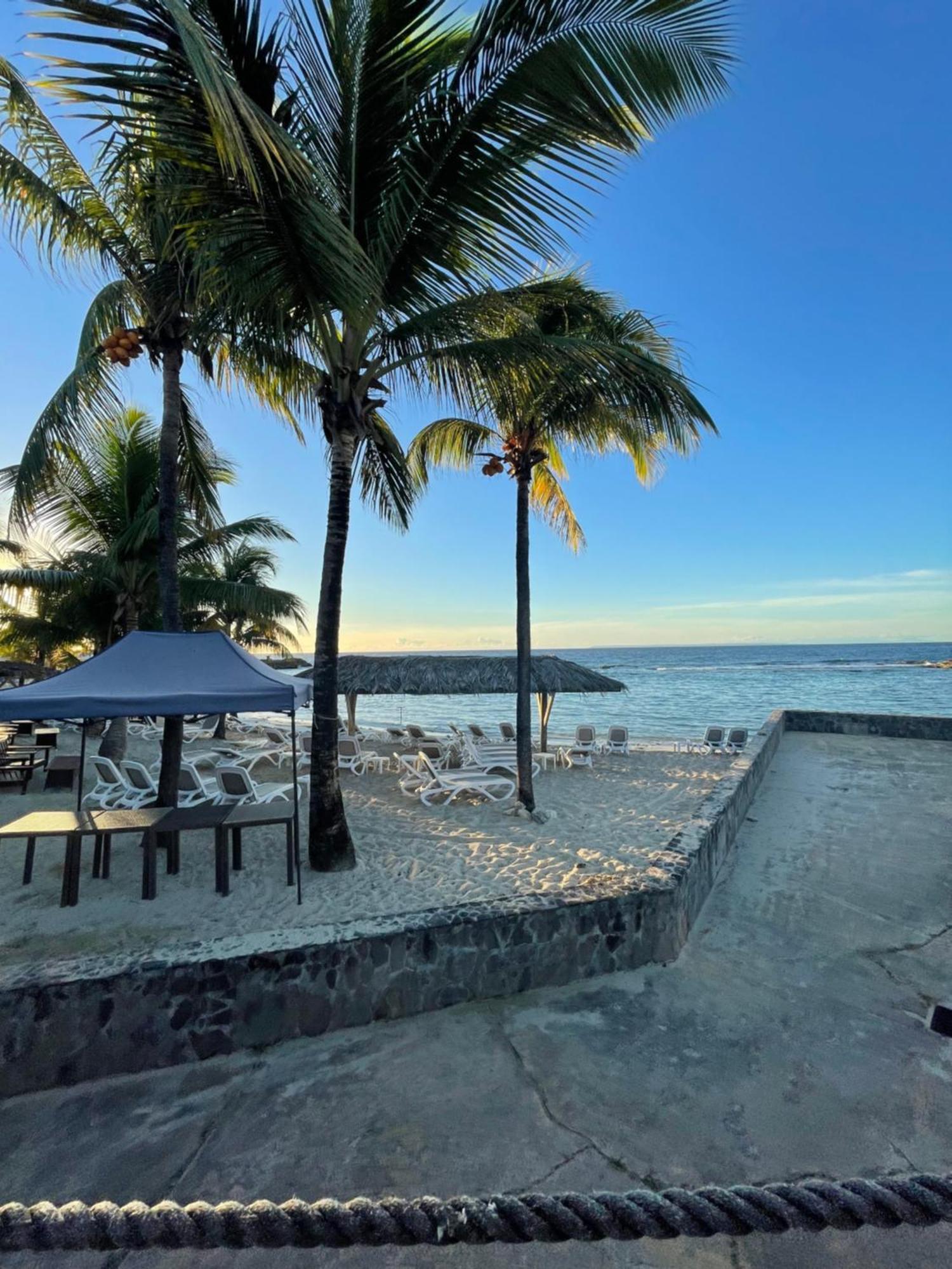 Studio 25 M Manganao Joela 4 Personnes Avec Machine A Laver (Adults Only) Saint-Francois (Grande-Terre) Exterior foto